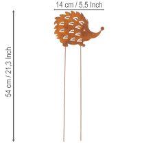 Artikel Gartenstecker Igel Rost Edelrost Deko Beetstecker 20cm