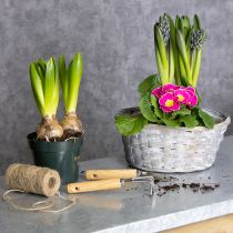 Artikel Geflochtener Blumenkorb aus Bambus 23cm, 6 Stück, zeitlos natürliche Deko