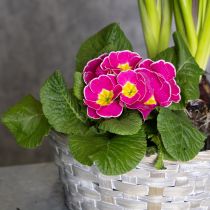 Artikel Geflochtener Blumenkorb aus Bambus 23cm, 6 Stück, zeitlos natürliche Deko