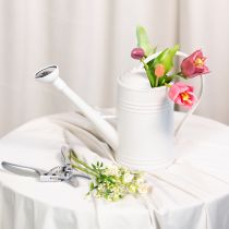 Artikel Weiße Gießkanne 32cm mit Abnehmbarem Brausekopf für Zimmer- und Balkonpflanzen