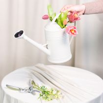 Artikel Weiße Gießkanne 32cm mit Abnehmbarem Brausekopf für Zimmer- und Balkonpflanzen