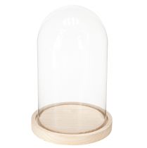 Artikel Glasglocke auf Holztablett Glassturz Klar Natur Ø17cm H24cm