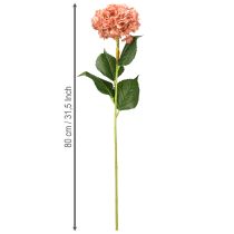 Artikel Hortensie Rosa 80cm 1 St