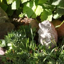 Igel Steinguss Dekoration Weiß gewaschen für Herbst und Garten