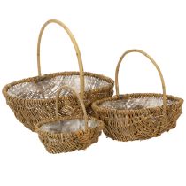 Artikel Kartoffelkorb 43/33/23cm mit Folie Natur Set von 3St