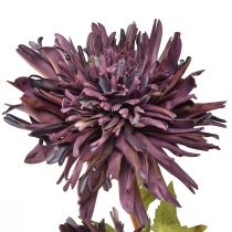 Artikel Künstliche Chrysantheme 2 Blüten Violett Ø5/11cm L70cm Deko-Highlight