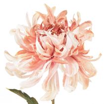 Artikel Künstliche Chrysanthemen Rosa Mauve Ø13cm L72cm 2St – Deko-Blumen für Innenräume