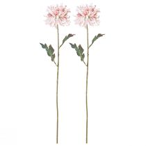 Artikel Künstliche Chrysanthemen Rosa Mauve Ø13cm L72cm 2St – Deko-Blumen für Innenräume