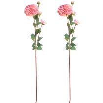 Artikel Künstliche Dahlien in Pfirsich Rosa Ø10cm L80cm 2er-Set – Dauerblüher für stilvolle Arrangements