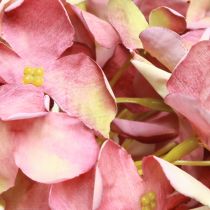 Artikel Künstliche Hortensie Groß Rosa Mauve Ø15cm L58cm Deko Blumenstrauß 2er-Set