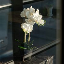 Artikel Künstliche Orchidee im Topf weiß 60cm – Langlebige Dekoration mit stilvoller Eleganz