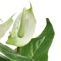 Artikel Kunstblumen, Flamingoblume, künstliche Anthurie Weiß 36cm