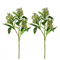 Artikel Lebensechte Skimmia japonica Kunstblumen Grün 45cm - Pflegeleichte Deko für stilvolle Raumgestaltung 2St