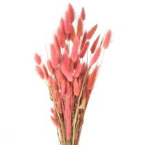 Artikel Getrocknetes Lagurus-Gras Rosa - Florale Dekoration & DIY-Highlight L45cm 50g