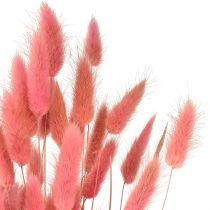 Artikel Getrocknetes Lagurus-Gras Rosa - Florale Dekoration & DIY-Highlight L45cm 50g