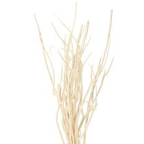Artikel Mitsumata Zweige Weiß 34-60cm 12St