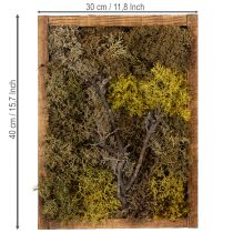 Artikel Natürliche Mooswandkunst 40x30cm – Nachhaltige & pflegeleichte Wanddekoration