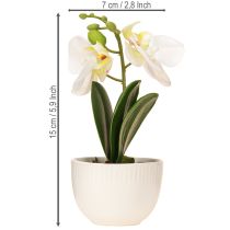 Artikel Mini Orchideen Künstlich Weiße Orchideen im Topf 15cm Pflegeleicht Dekoration
