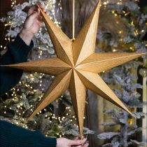Artikel Weihnachtsstern Beleuchtung Papierstern Dekoration Festlich Elegantes Design