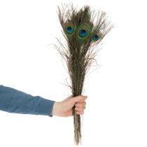 Artikel Pfauenfedern Naturmaterial Vogelfedern 55–60cm Dekoration und Bastelbedarf