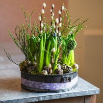 Artikel Pflanzgefäß, Deko-Backform, Springform zum Bepflanzen, Metalldeko Ø24cm H7,5cm