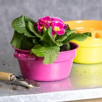 Artikel Pflanzschalen Metall 17cm bunt mit Henkeln 3er Set robust für Indoor & Outdoor