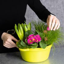 Artikel Pflanzschalen Set 25cm aus Blech mit Henkel in Rosa, Orange und Grün für Frühlingsdekoration