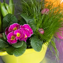 Artikel Pflanzschalen Set 25cm aus Blech mit Henkel in Rosa, Orange und Grün für Frühlingsdekoration