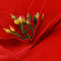 Artikel Lebensnahe Poinsettia in Rot, Weihnachtsstern künstlich 46cm 6St