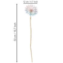 Artikel Pusteblume Trockenblume Wiesenbocksbart 12cm Stabilisiert Innenbereich 4 Stück