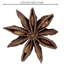 Artikel Sternanis Deko Bastelartikel Naturdeko Anis getrocknet 500g