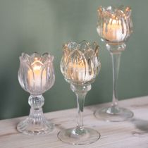 Artikel Teelichthalter Glas 17cm in Blumenform - Elegantes Deko-Highlight für eine stilvolle Atmosphäre