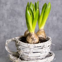 Artikel Rustikale Teetasse aus geflochtener Weide in Weiß-Grau, 13 cm, dekorativ und vielseitig