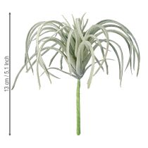 Artikel Tillandsia Sukkulente künstliche Grünpflanzen 13cm
