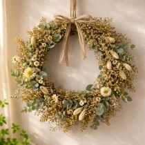 Artikel Trockenblume Broom Bloom Olivgrün Bund 48cm 160g für Trockenarrangements