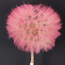 Artikel Trockenblumen Wiesenbocksbart Deko-Kugel 12 cm Innenraumgestaltung 4er-Set