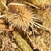 Artikel Natur Dekokranz Kardendisteln Hirse Gelb Olivgrün Ø28cm
