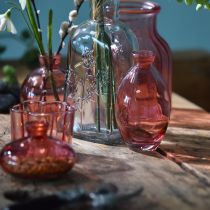 Artikel Elegante bauchige Minivasen getönt Glas Rosa Ø7cm H12cm 6er Set