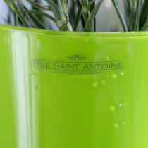 Artikel Vase Grün Blumenvase Deko Vase Fizzy Olive Ø16,5cm H27cm