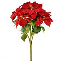 Artikel Weihnachtsstern Künstlich Rot Grün L57cm – Festliche Deko für Gastronomie und Events