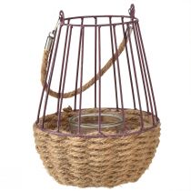 Artikel Windlicht mit Henkel und Glas in Lila &amp; Natur - Stilvoller Hingucker für Innen &amp; Außen Ø18cm H22cm