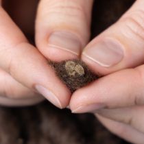 Artikel Wollkordel Braun 25m aus Weicher Wolle für Dekoration und Floristik