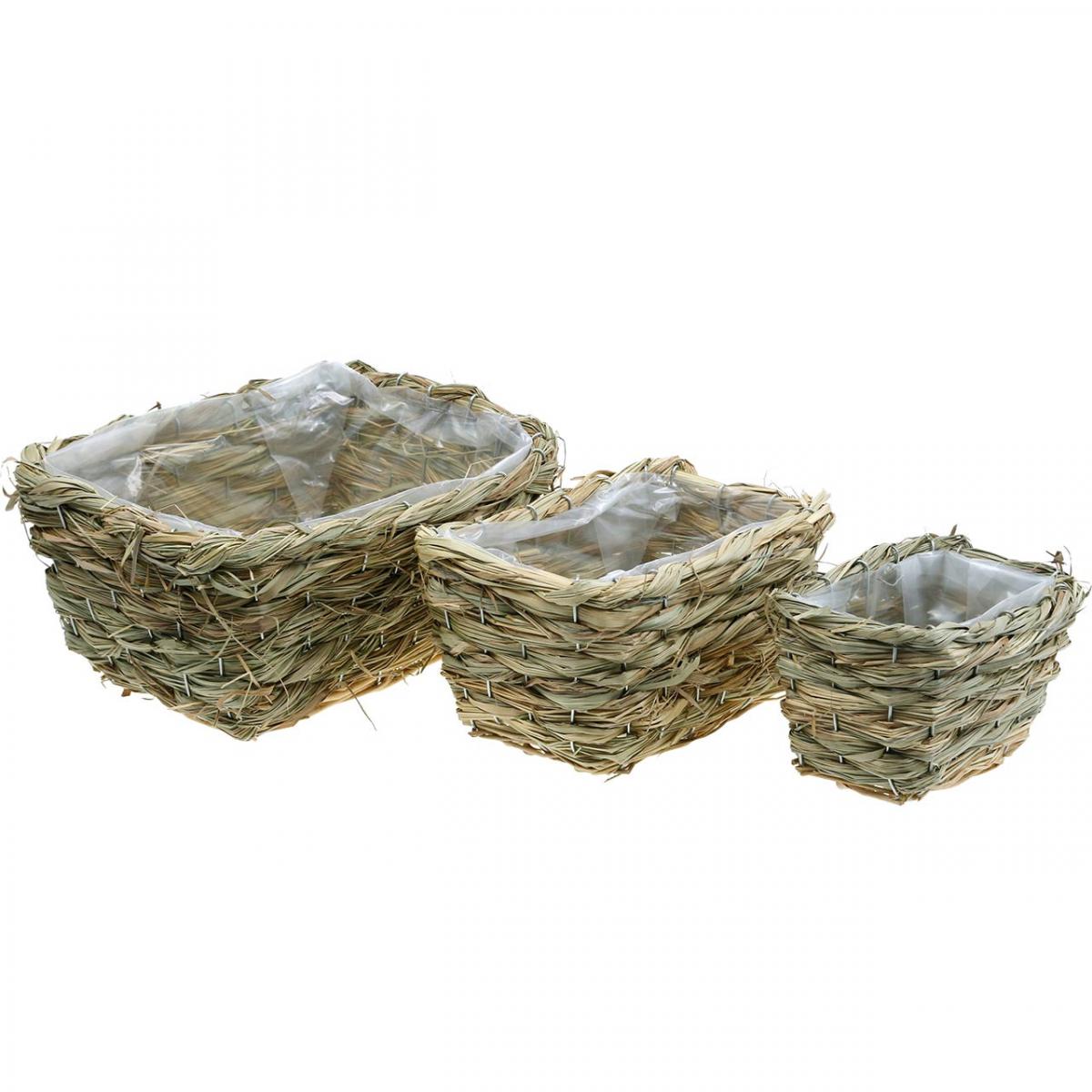 NADAMOO Wandmontiertes Pflanzenhalter-Set – Metall-Körbe Für Innen & Außen