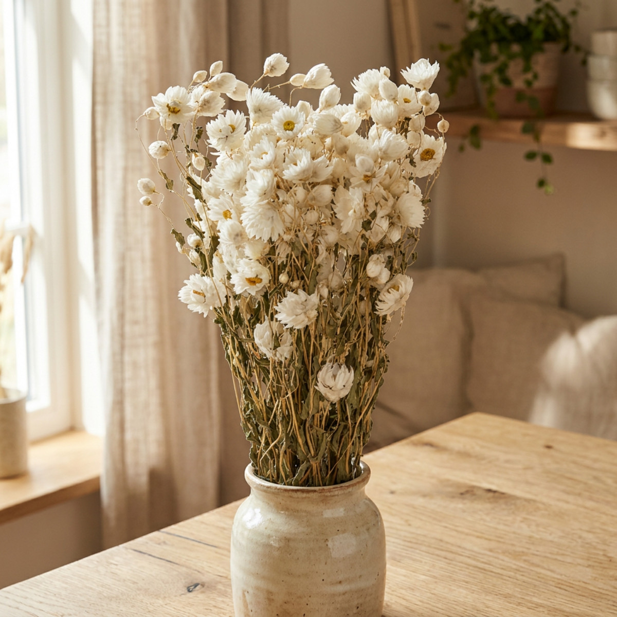 Weiße Kamille Trockenblumen 65cm 50g Deko für Floristen