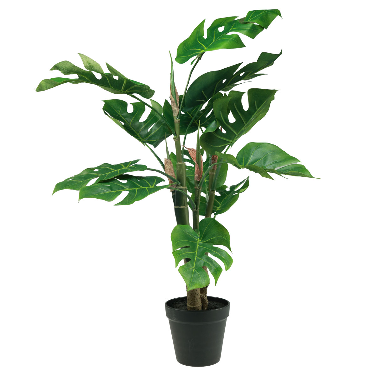 Kunstpflanzen Wie Echt Dekoleidenschaft Kunstpflanze Eukalyptus  65 Cm  Hohe Topfpflanze Fr Zimmer & Bro