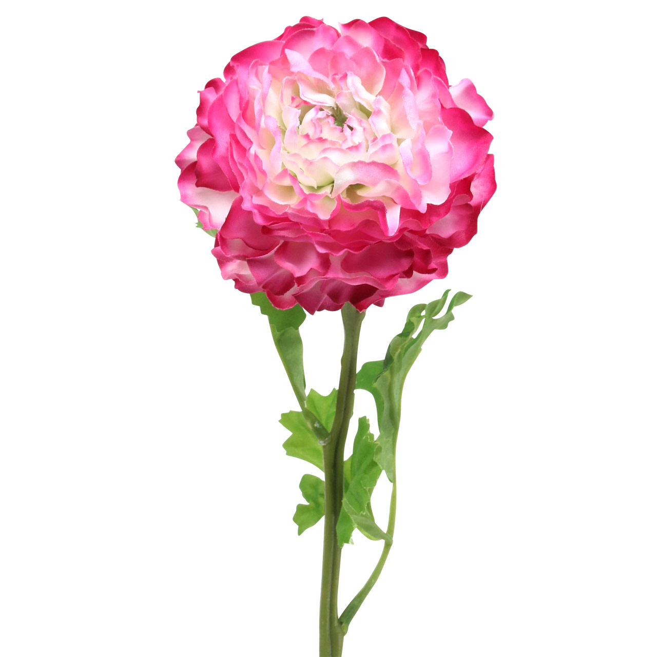 Ranunkelzweig 48cm weiß-grün CG Kunstblumen künstliche Blumen Ranunkel 