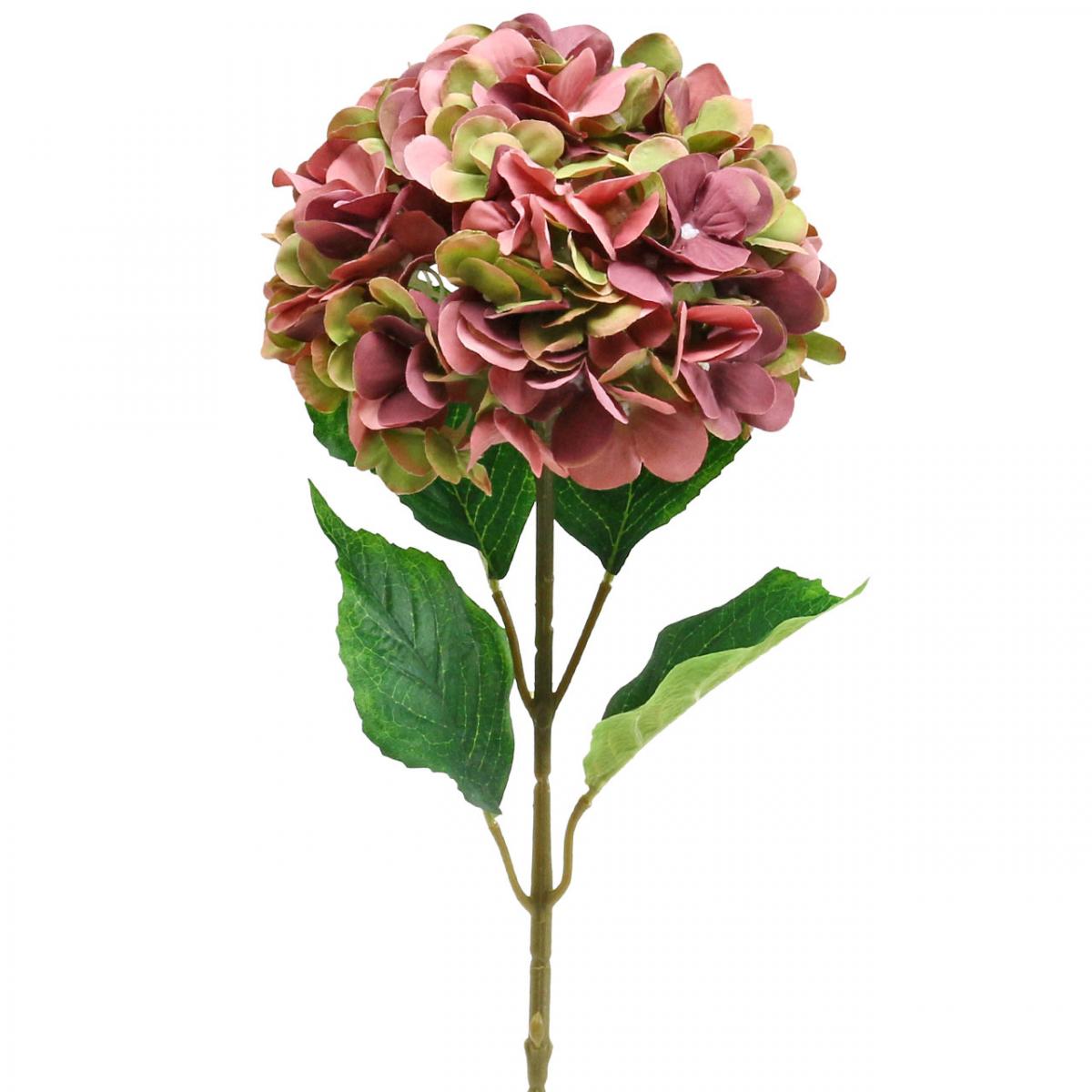 Floristik21.de 80cm-69802 künstlich groß Kunstblume Hortensie Bordeaux Rosa,