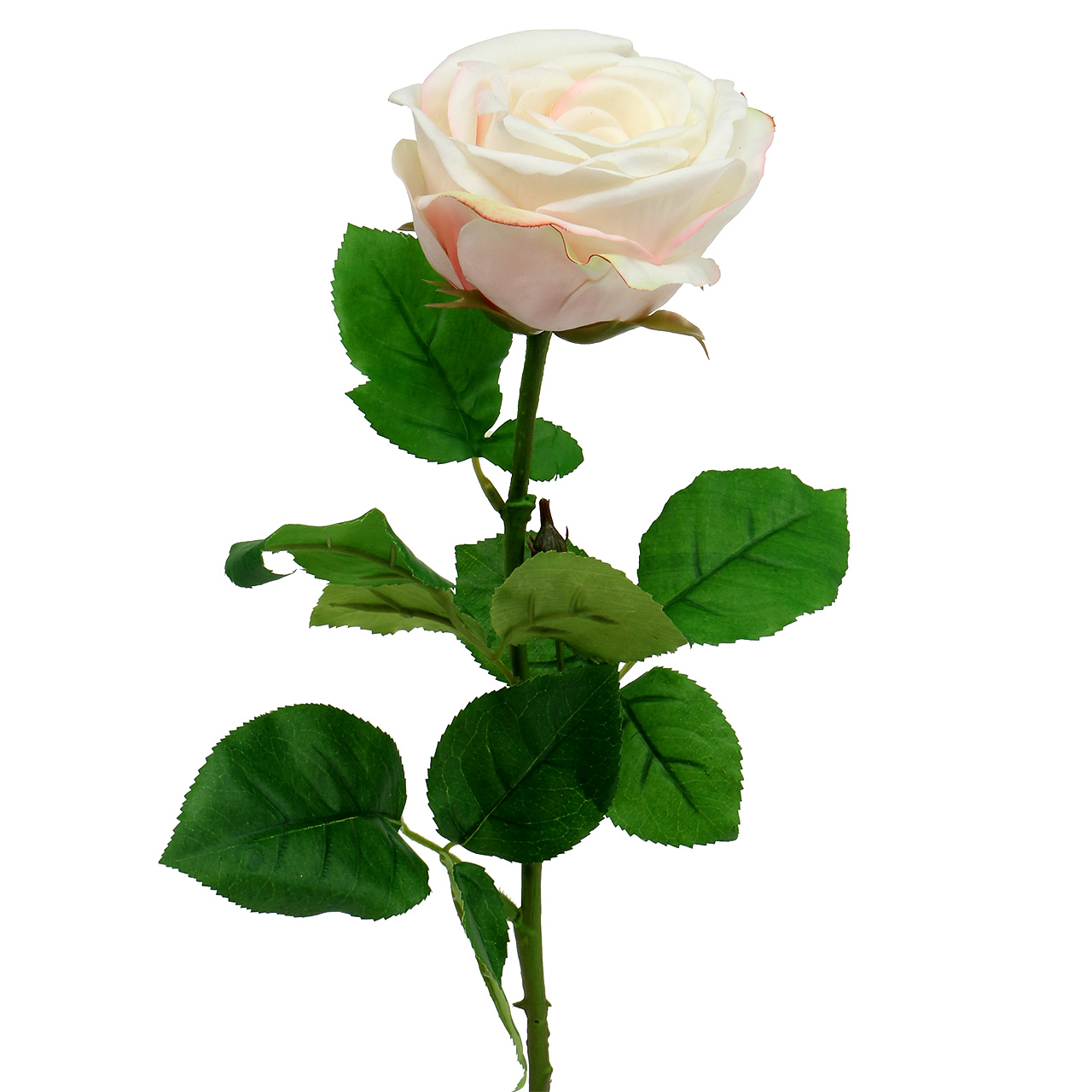 Floristik21.de Künstliche Rose Creme 69cm-87560