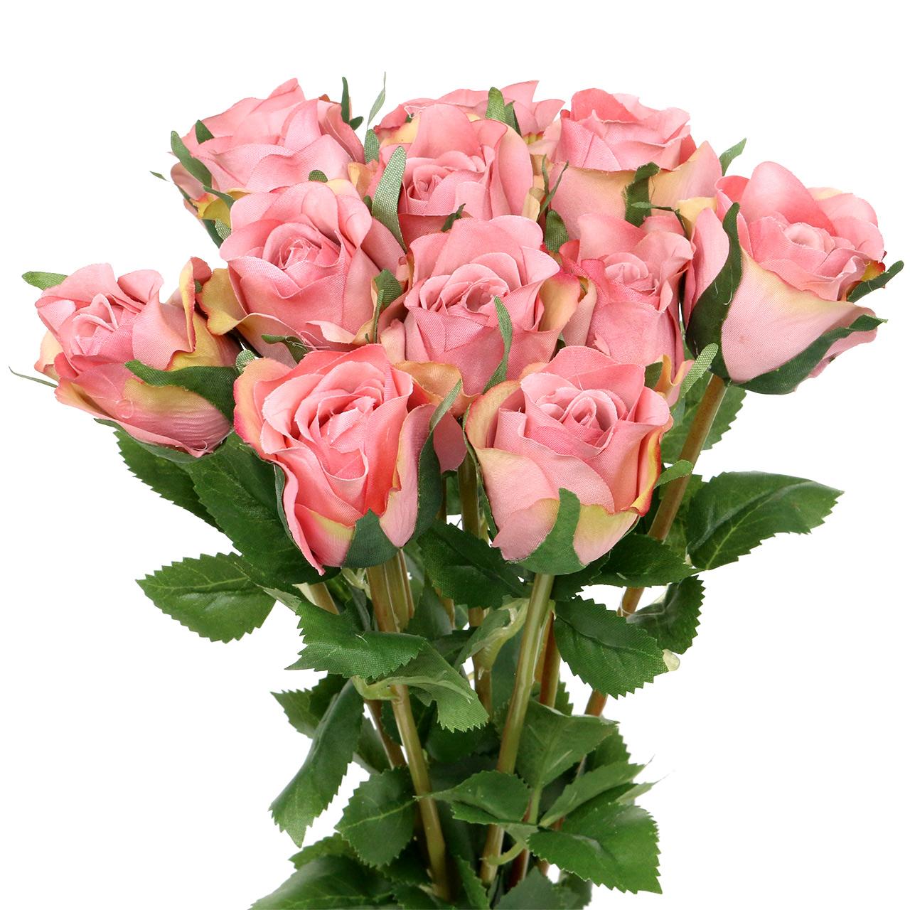 Floristik21.de Rose Altrosa 42cm 12St-64909