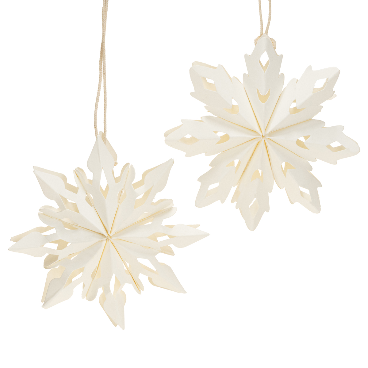 Mühlenbeckia M wie Materialkunde 